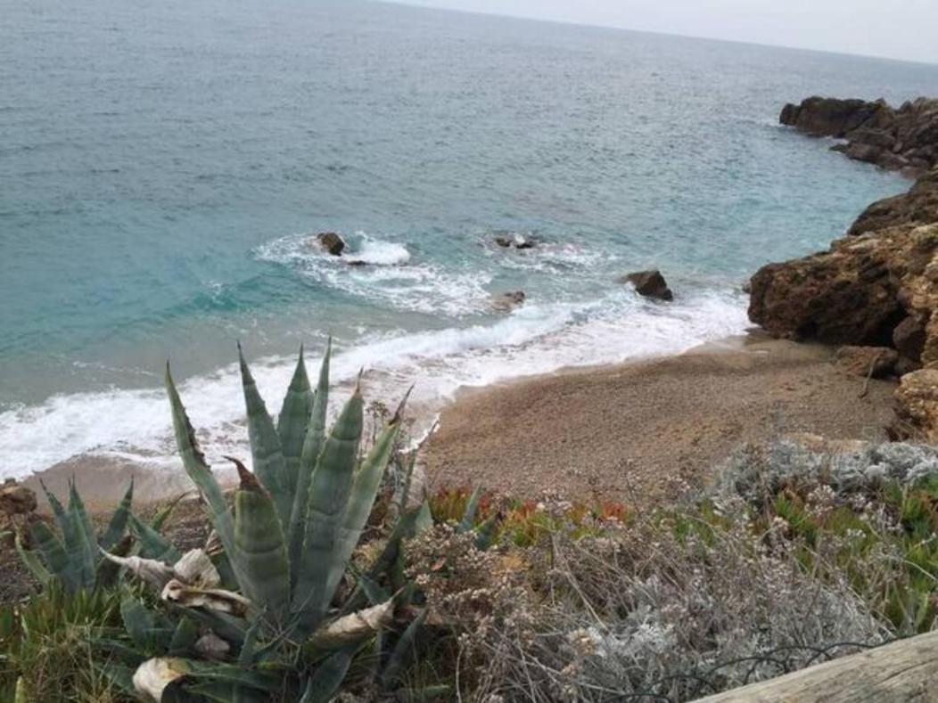Abis Cap Corniche Sejour Cocooning Dans Un Coin De Paradis セット エクステリア 写真